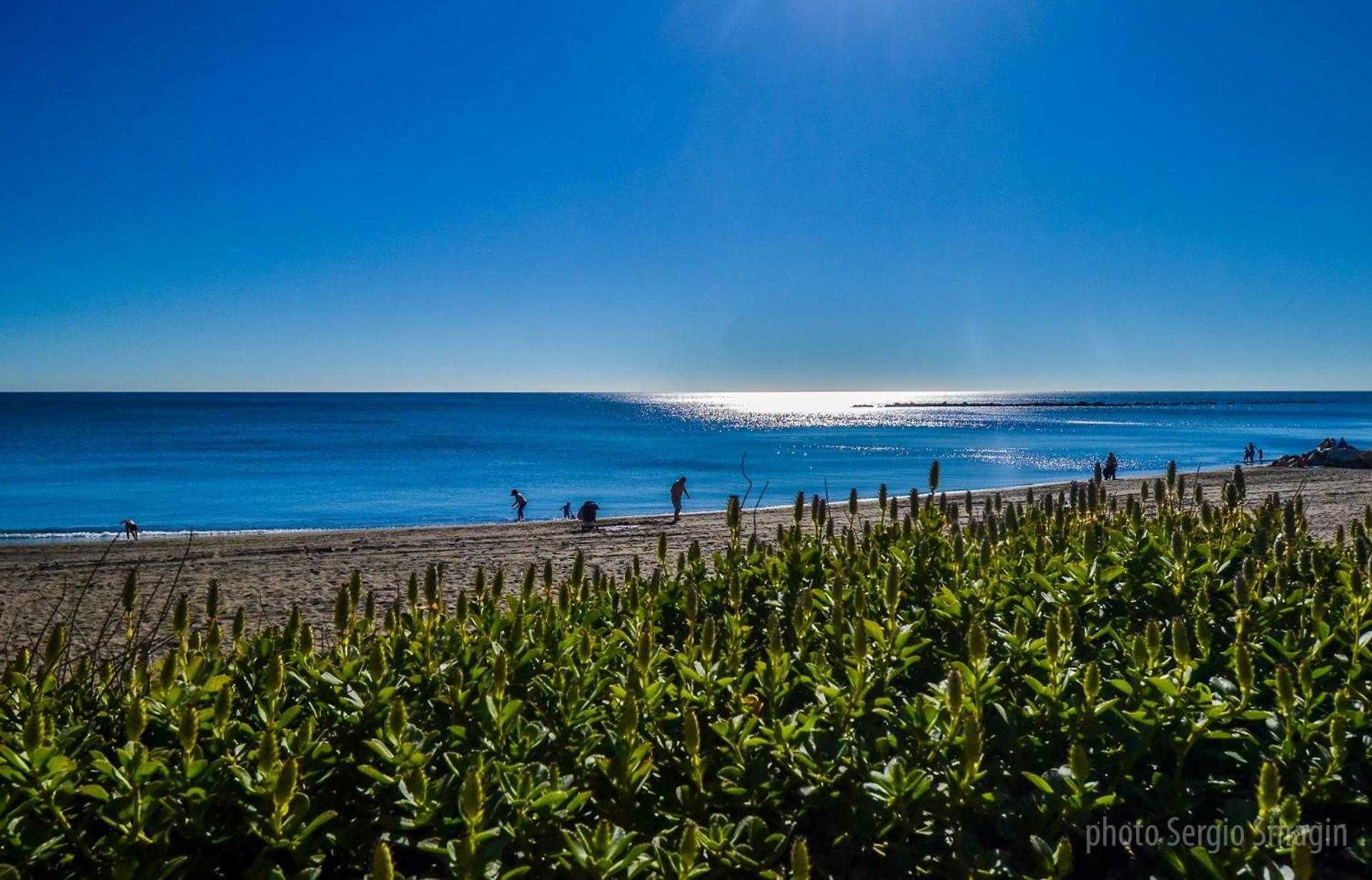 Apartamentos Los Cisnes - 2º Linea De Playa - Perfecta Ubicacion ベナルマデナ エクステリア 写真
